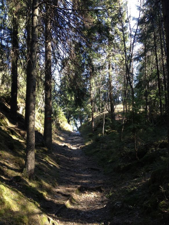 En del av Oldtidsveien i Stovnerskogen, helt i starten.